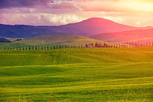 Obraz Zelená panoráma 1391